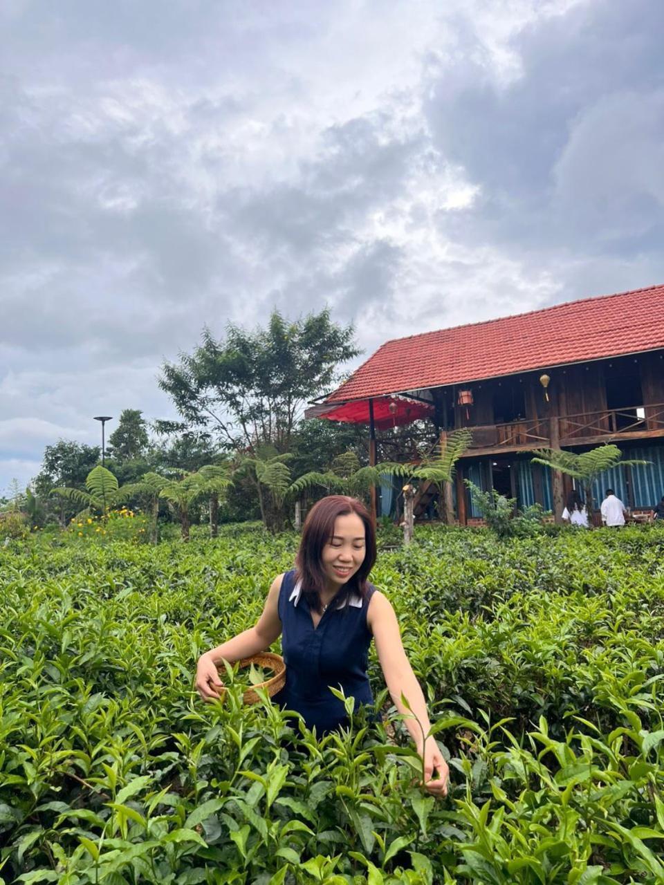 Tea Garden House Villa Bảo Lộc Exterior photo