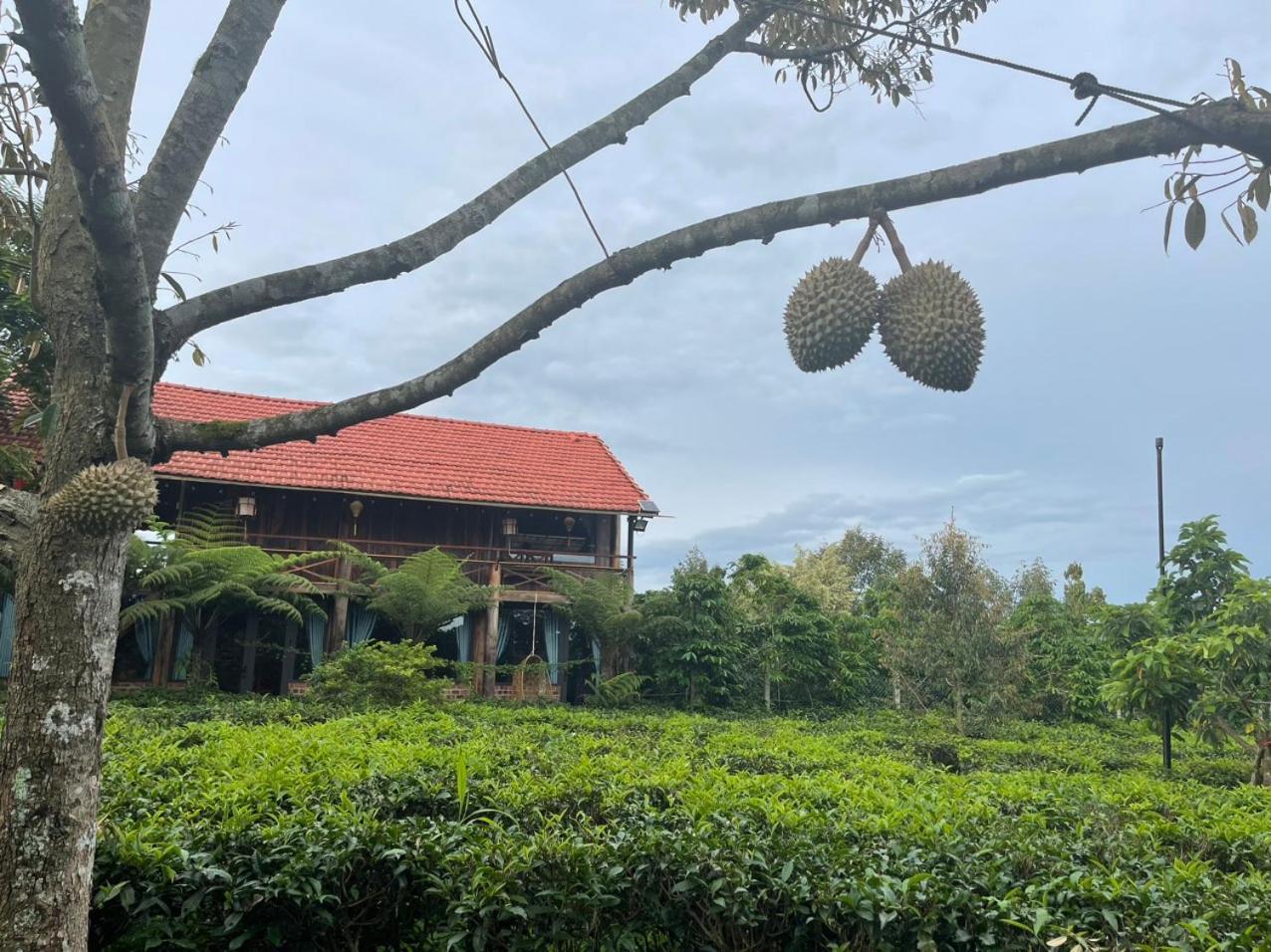 Tea Garden House Villa Bảo Lộc Exterior photo