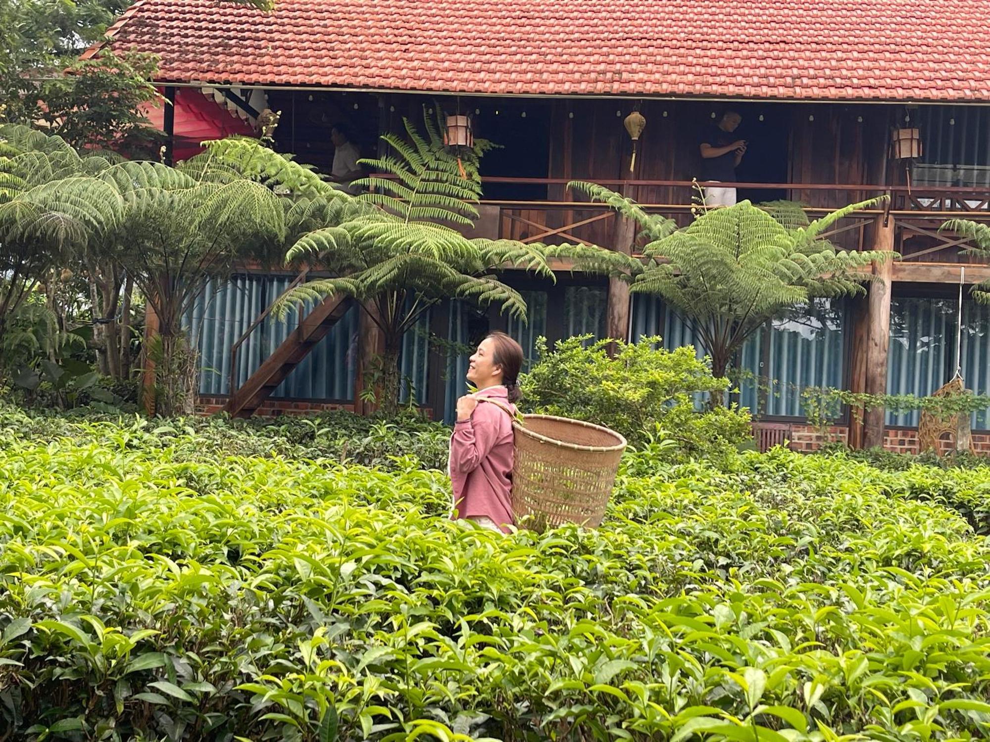 Tea Garden House Villa Bảo Lộc Exterior photo