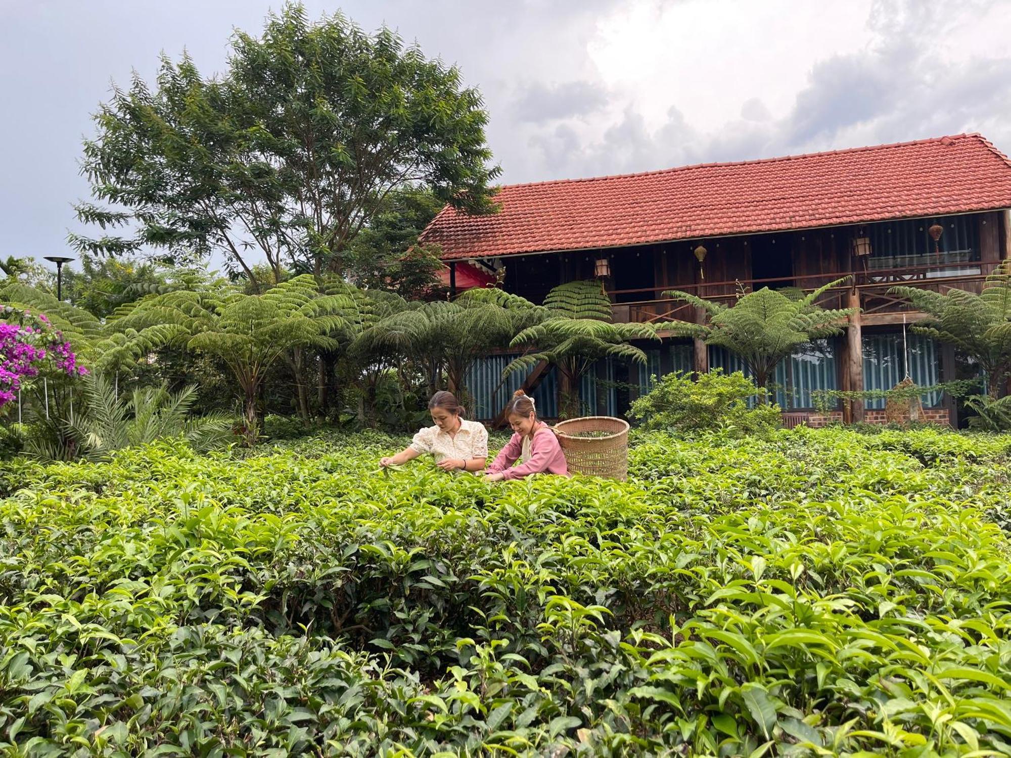Tea Garden House Villa Bảo Lộc Exterior photo