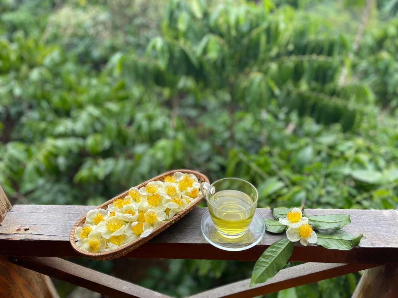 Tea Garden House Villa Bảo Lộc Exterior photo
