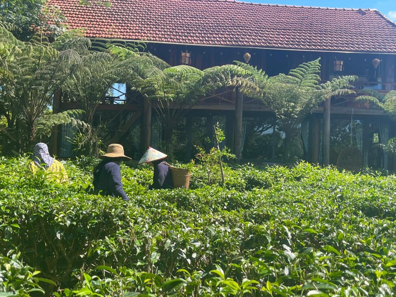 Tea Garden House Villa Bảo Lộc Exterior photo